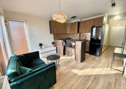 mieszkanie na wynajem - Sosnowiec, Zagórze